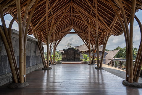Yoga Shala